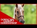 Clinton Anderson: Training a Rescue Horse, Part 2 - Downunder Horsemanship