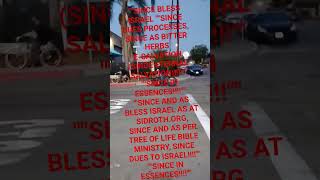 SINCE BLESS ISRAEL"COFFEEMATE,DUES PROCESSES AS BITTERHERBS E-SALVATION"SIDROTH.ORG +TREE OF LIFEBIB
