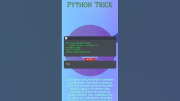 Checking Palindrome Strings in Python: Ensuring String Integrity and Implementing String Operations