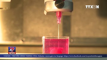 Trái tim in 3D đầu tiên từ mô người