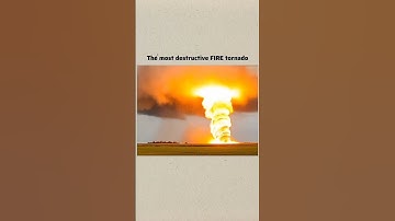 real saund,,fire tornado,,❤️❤️❤️🎉🎂❤️🤩 #tornado #toronto #viral #shorts #youtubeshorts #subscribe #ai
