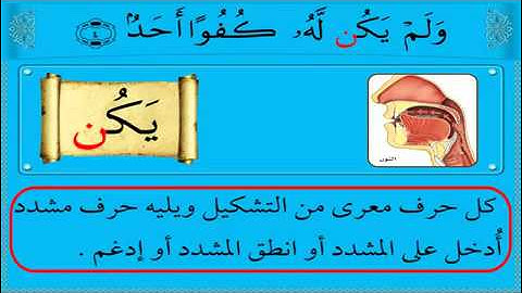 تعلم سورة الإخلاص بالتجويد للشيخ محمد يس في 9 دقائق