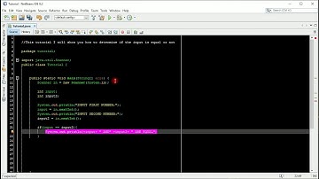 Java Tutorial (Netbeans) Equal or Not