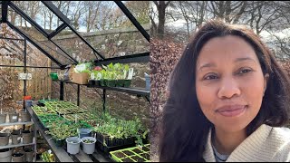 5 Garden Jobs to do in April 🌿