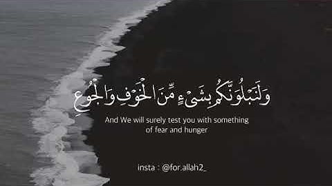((ولنبلونكم بشيئ من الخوف والجوع)) تلاوة من أجمل ماسمعت