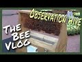 Observation Hive at Festival of Flowers - Bee Vlog #173 - Jun 13, 2016