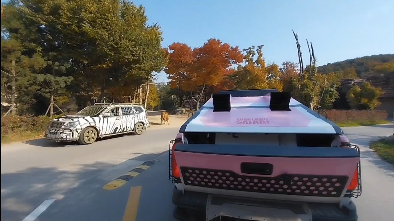 에버랜드 사파리월드 와일드트램 풀버전 탑승영상