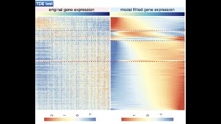 A Statistical Framework for Differential Pseudotime Analysis of Single cell RNA-seq Samples Net Worth