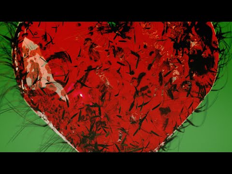 The Breeders - Mad Lucas (Official Visualiser)