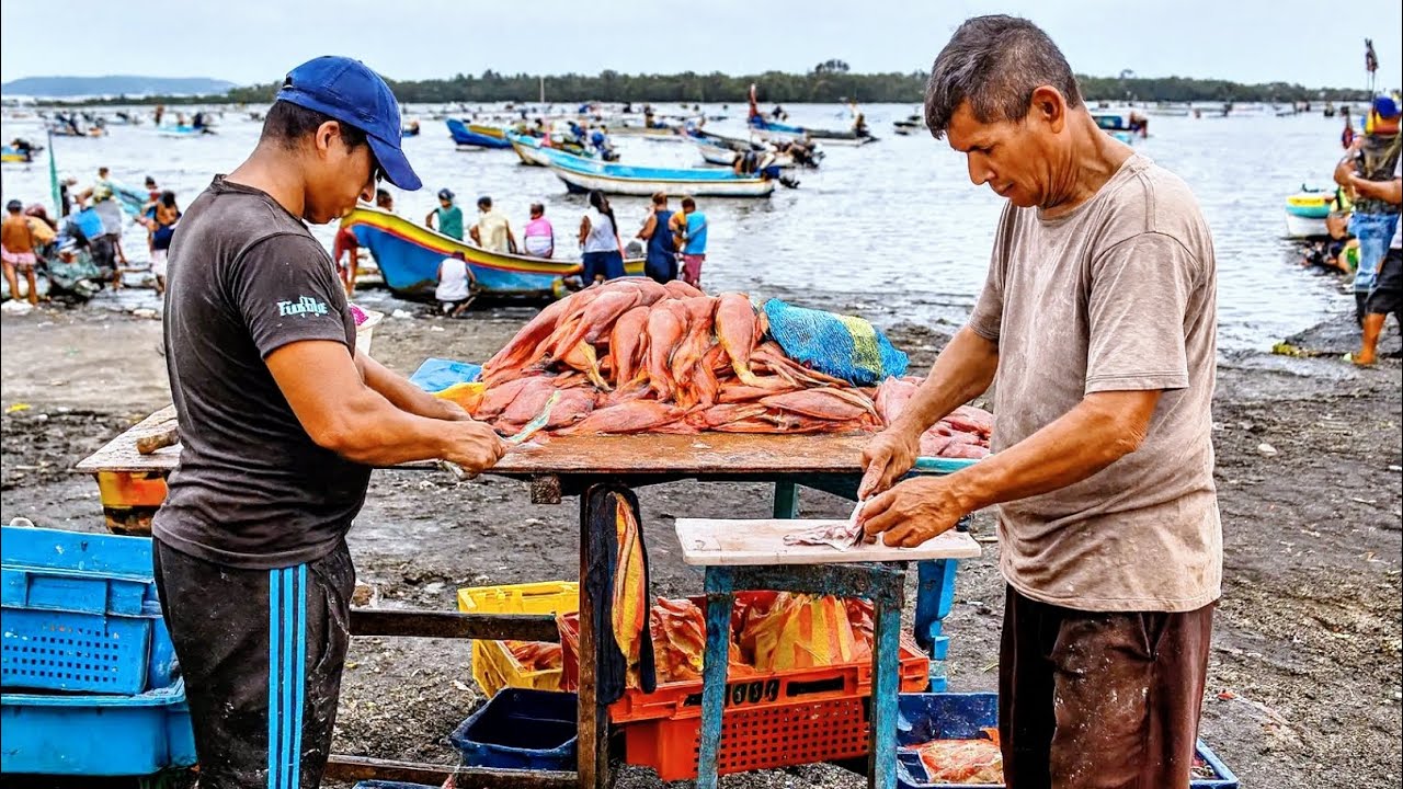 Así TRABAJAN los MAESTROS del PESCADO en el Puerto Pizarro Tumbes 🇵🇪