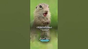 سورة العلق أحمد العجمي