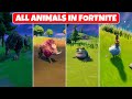 All Different Animals in Fortnite Chapter 2 Season 6! - How to Tame a Wolf & Boar