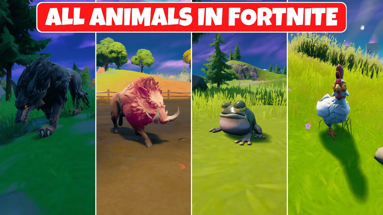 All Different Animals in Fortnite Chapter 2 Season 6! - How to Tame a Wolf  & Boar - YouTube