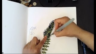 NJEF: Botanical Journaling with Yvea Moore