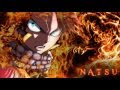 Eternal Fellows Natsu Dragneel