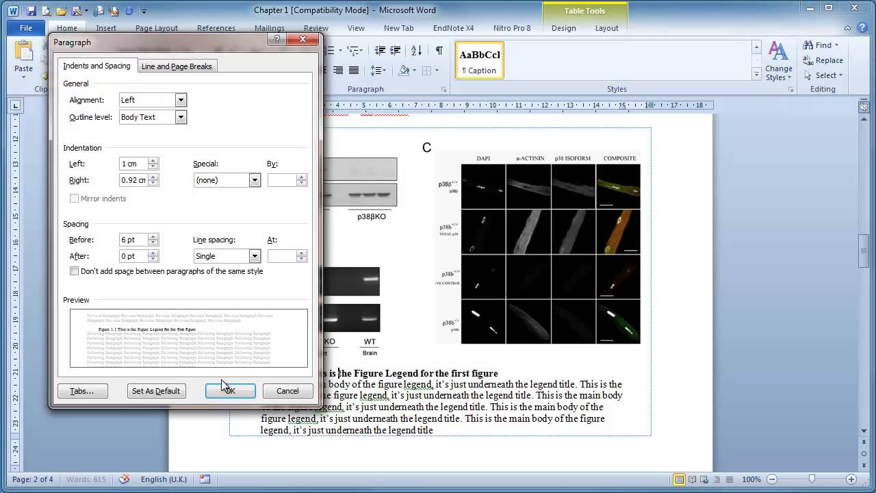 Thesis figures word