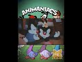 "Pelea de hermanos" - Animaniacs // Fandub Español Latino