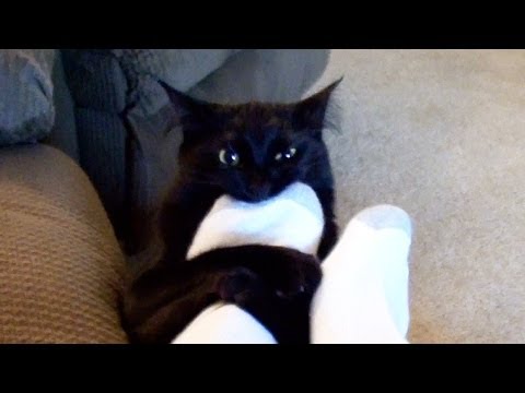 Scariest Haunted House Ever! from YouTube · Duration: 2 minutes 51 seconds Scariest Haunted House Ever! from YouTube · Duration: 2 minutes 51 seconds