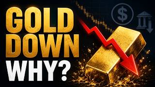 Gold Fell While Yields and the Dollar Fell — What Changed? screenshot 5