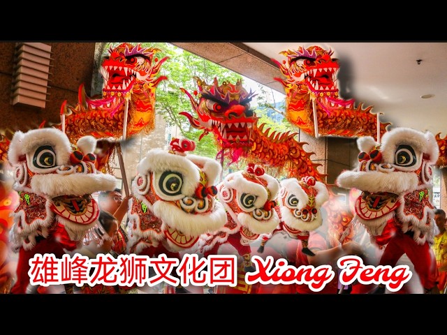 4K] Chap Goh Mei! 雄峰龙狮文化团Xiong Feng Dragon & Lion Dance