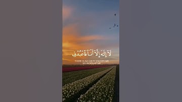 تلاوة خاشعة تريح القلب ❤ #القرآن_الكريم #القرآن #تلاوة