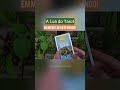 Significado do arcano A Lua