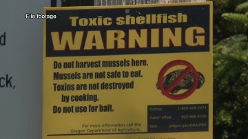 Shellfish harvesting closed along the entire Oregon Coast due to high levels of toxins