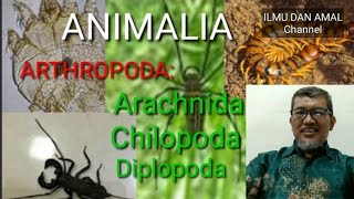ANIMALIA: FILUM ARTROPODA: ARACHNIDA, CHILOPODA & DIPLOPODA