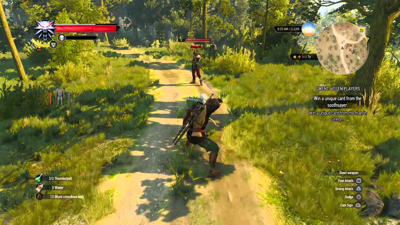 The Witcher 3: Wild Hunt Fatality