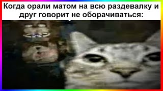 картинка: тик ток обернулся | подборка мемов