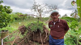The rainy season has arrived at the Thai Mekong, Ep.24