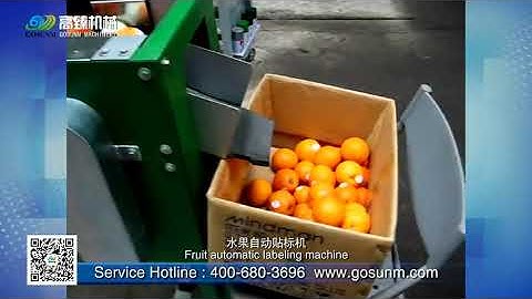 automatic fruit orange top labeling machine-GOSUNM