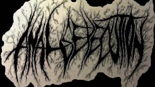 Anal Sexecution - 13 Tracks