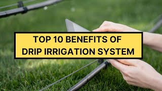 TOP 10 BENEFITS OF DRIP IRRIGATION SYSTEM|ADVANTAGES OF DRIP IRRIGATION SYSTEM #DRIP#DRIPIRRIGATION