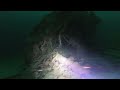 Minesveiperen, r56, Bømlo.  #techdiving #wreckdiving