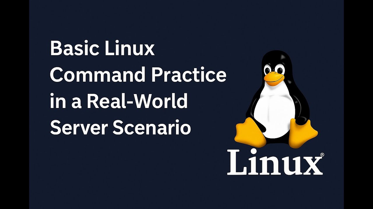 Basic Linux Commands | Practice in a Real-World Server Scenario ...