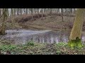 Hidden streamAbandonded places UK 🇬🇧 
