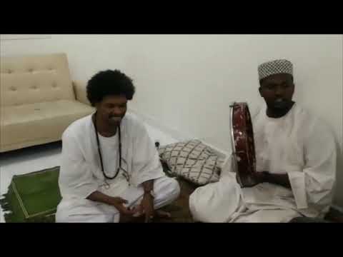 مدايح الشيخ احمد ود سليمان مدحة نسيم الحب هبالي المادح نذار بادي و انس ود المنصور