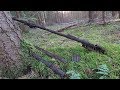 Amazing WW2 relics discovered in the forest [WW2 Metal Detecting]