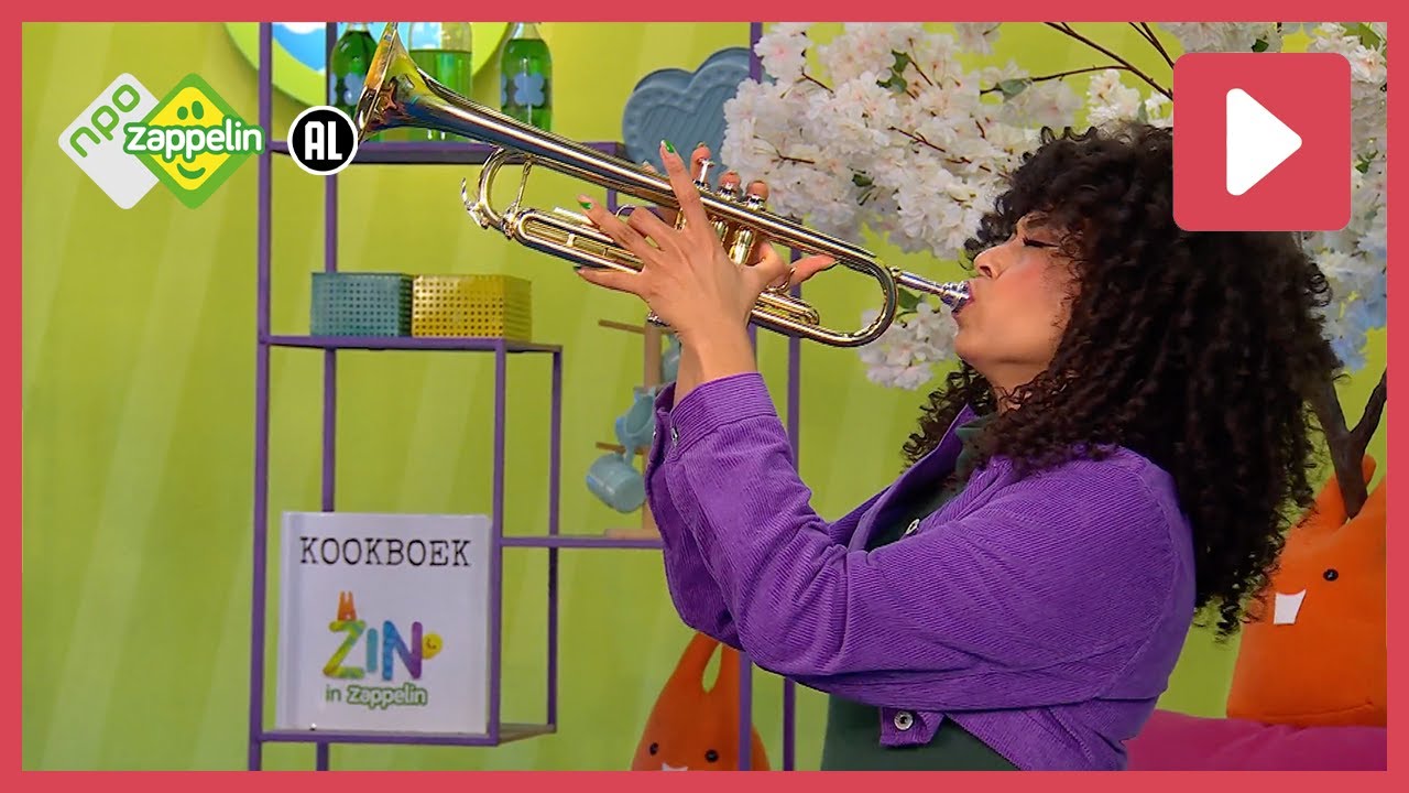 DAAR ZIT MUZIEK IN | Zin in Zappelin | NPO Zappelin - YouTube