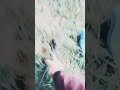 Pourquoi ça se goupille toujours ...=_=