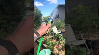 Rain barrow, RV water pump, on solar.