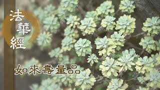 【靜思妙蓮華】法華經如來壽量品 - 非滅唱滅 方便教化 - 20231020 第1528集