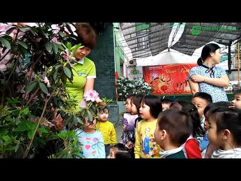 Video Thăm quan vườn hoa cùng các bạn lớp Hoa Hồng 02 - youtube
