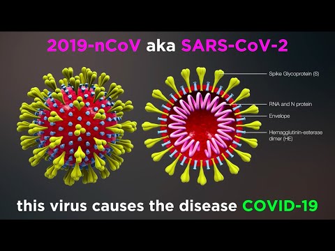 what-is-covid-19?-(coronavirus-update)
