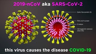 What is COVID19? (Coronavirus Update)