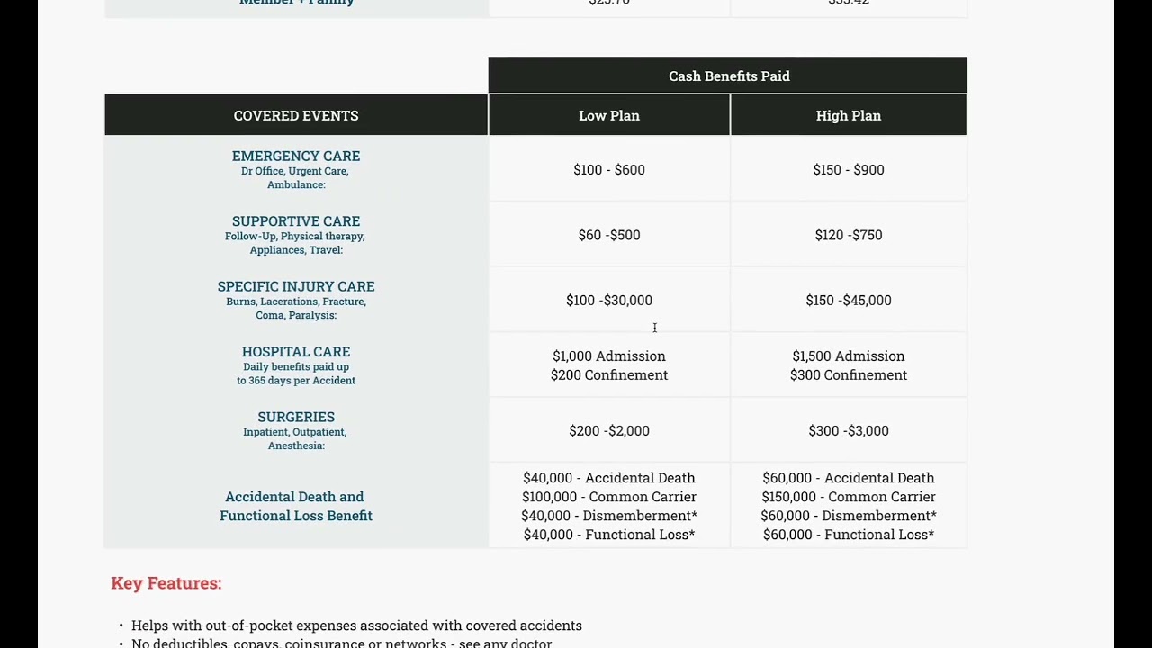 Lead benefits, Stewart Micah Baylor discusses 2024 ancillary benefits for New York members.