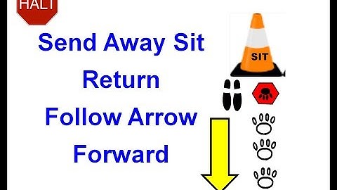 306. HALT - Send Away Sit - Return - Follow Arrow Forward