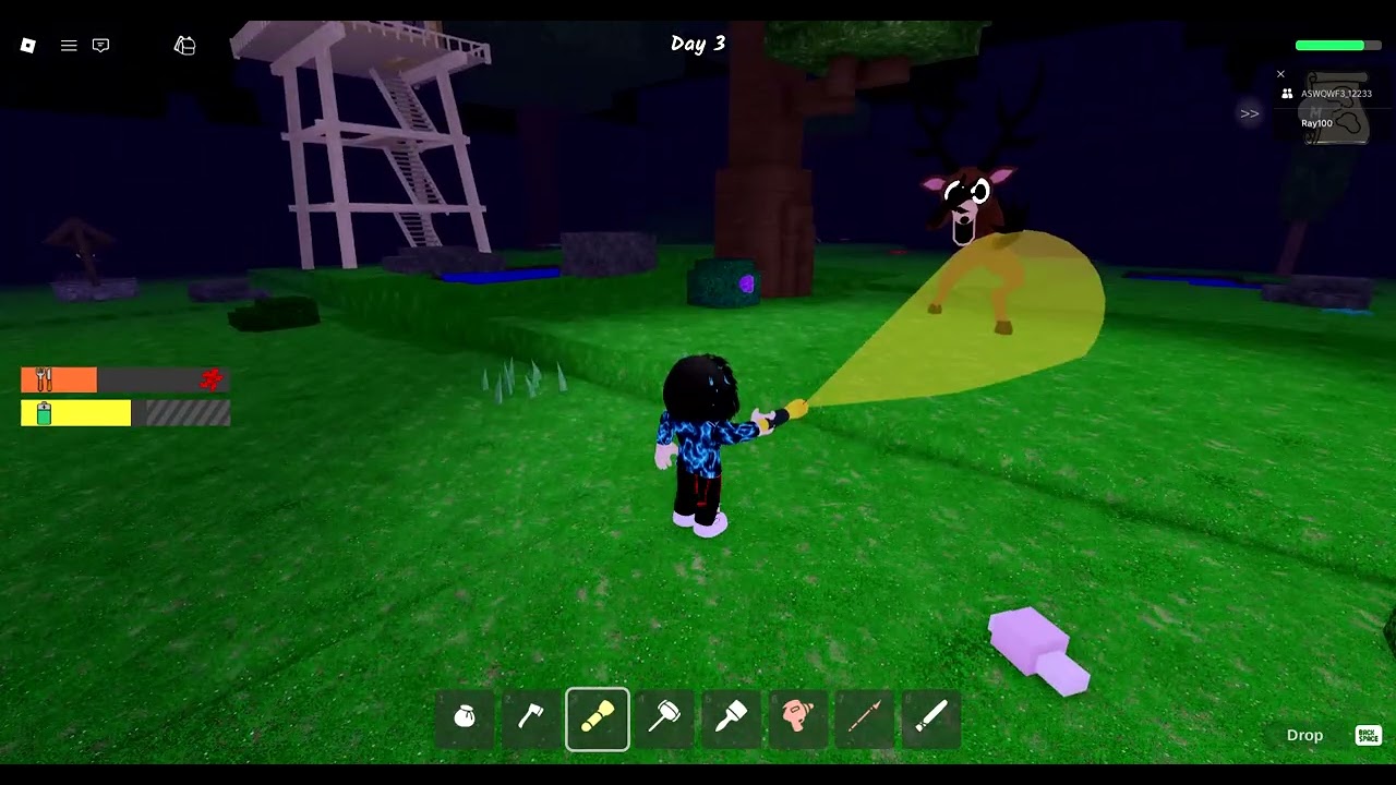 Playing 99 nights with my friend