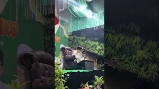 Download Lagu Qori Ahmad Fikri Haikal #qoriahsuaramerdu #qorijawabarat MP3